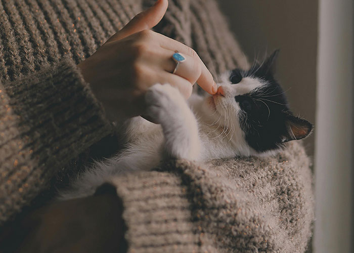 “I Can’t Believe This Really Happened”: 35 Of The Wildest Stories From Pizza Delivery Guys