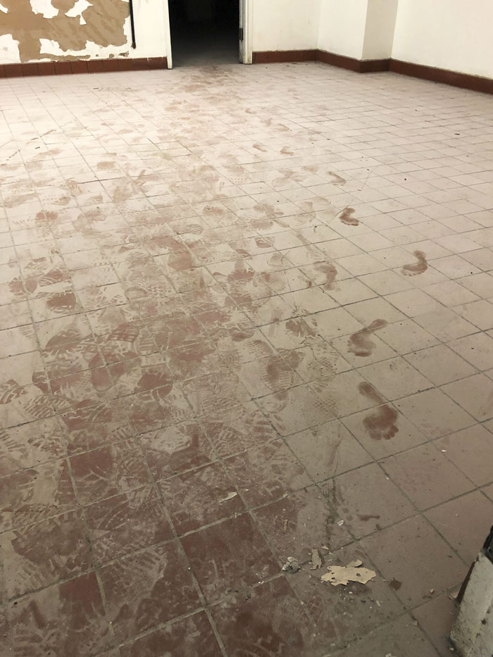 Appears That I Had A Visitor While Working Alone In A Large Abandoned Basement