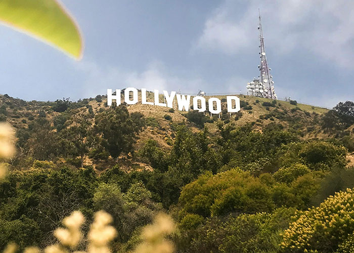 “What Do People Not Realize Has An Extremely Low Chance Of Happening?” (50 Answers)