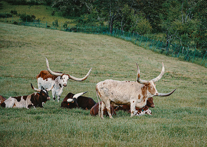 35 People Share What They Will Never Mess With Again