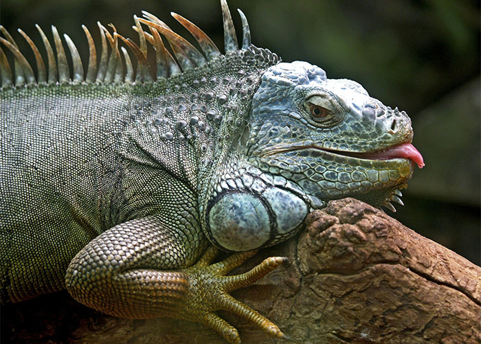 35 People Share What They Will Never Mess With Again