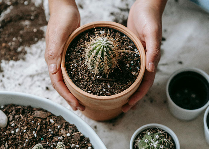 35 People Share What They Will Never Mess With Again