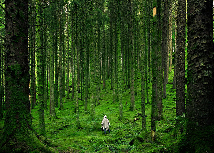 35 People Share What They Will Never Mess With Again