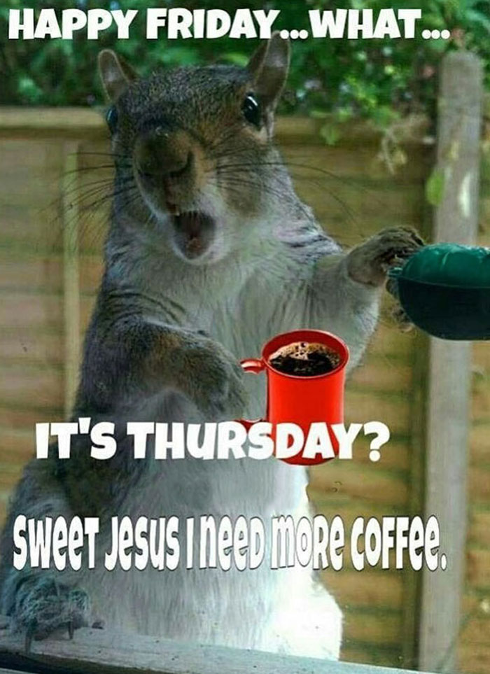 Squirrel looking surprised with Thursday meme text about needing more coffee for the weekend.