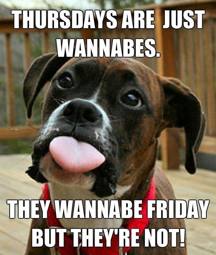 Playful dog expressing Thursday memes humor, highlighting its desire for the weekend with a funny caption.