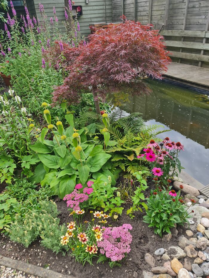 This Is My Little Bit Of Nature