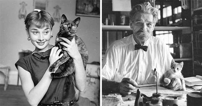 73 Vintage Photos Of Cats That Show Nothing Has Changed In Decades, Collected By This Journalist (New Pics)