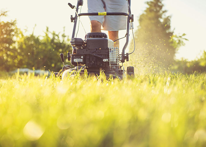 30 People Share What The Most Unpromising Kids From Their School Are Up To Now