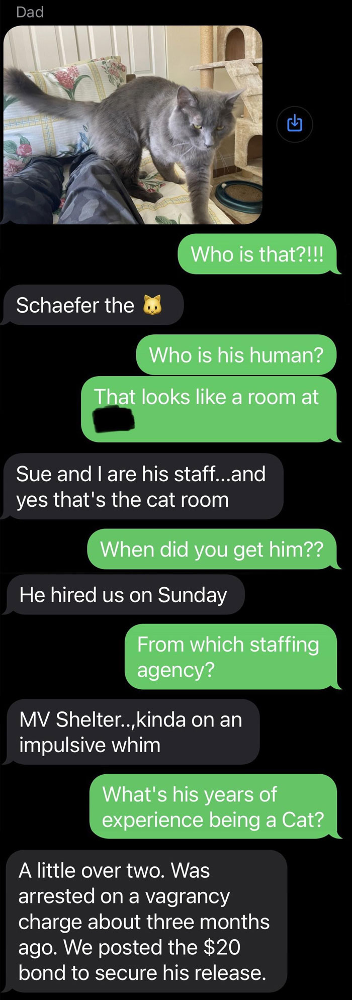 My 83-Year-Old Dad’s New Cat, Schaefer