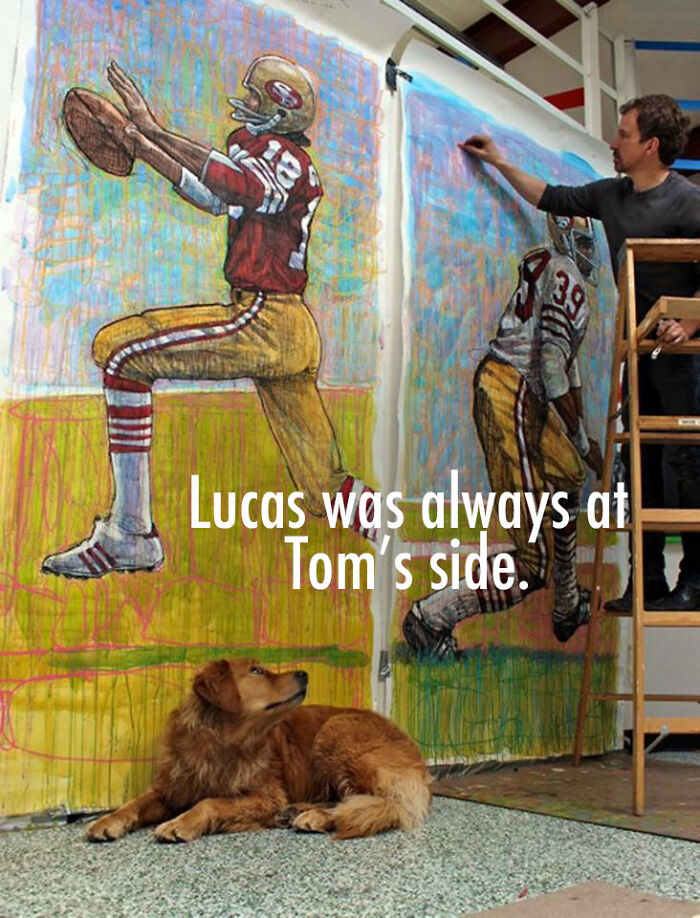 A Painting Of My Golden Retriever That Went Viral And Changed My Life Forever