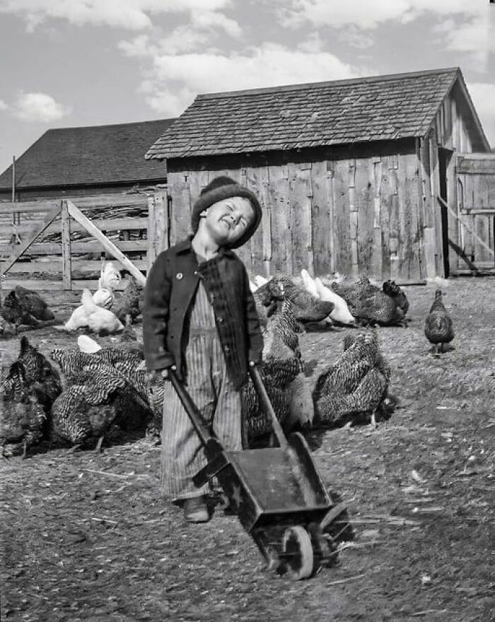 The Goshen, Indiana Farm Boy Here Again Among His Chickens With A Toy Wheel Barrow That He Might Have Used To Deliver Corn To Feed Them. 1930s Or 1940s