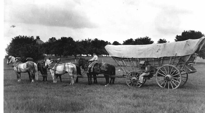Conestoga Wagon (Unknown Date And Location)