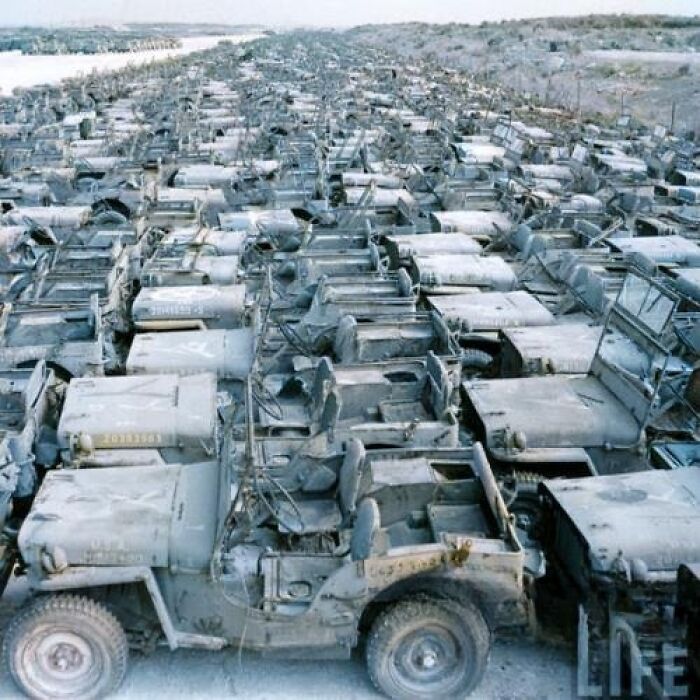 Jeeps Abandoned In A Field, At The End Of World War II, Summer Of 1945