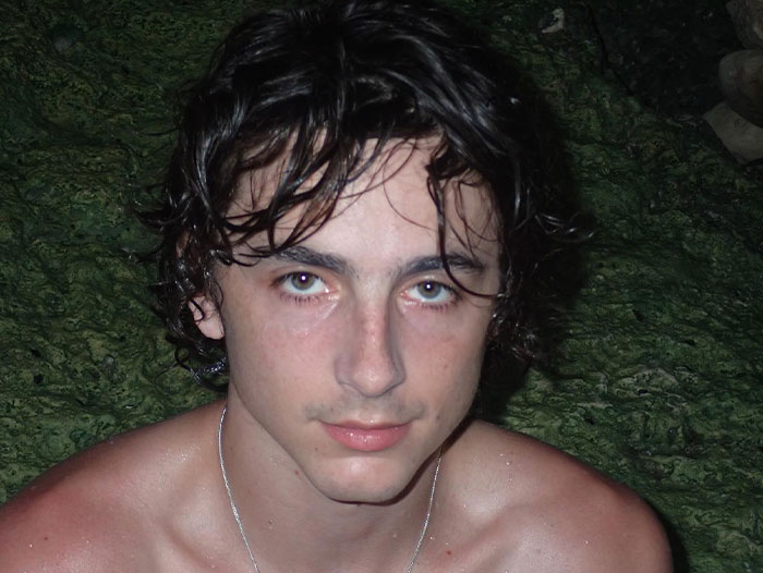 Did Timoth&eacute;e Chalamet Sing The Songs In Bob Dylan Biopic &lsquo;A Complete Unknown&rsquo;?