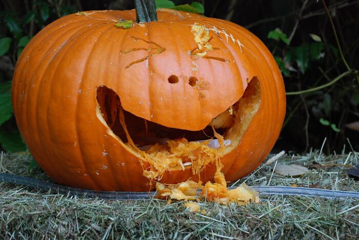 "We Did Not Invite Them Again": 33 People Online Bewildered By Their Ill-Mannered Guests