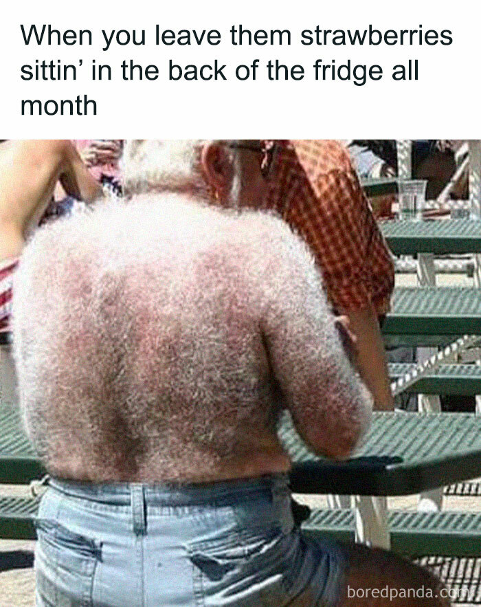 Funny-Random-Awkward-Memes