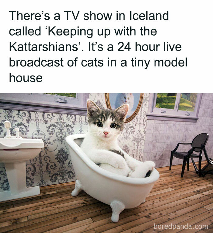 Joyful-Stories-Jokes-Buzzplusofficial