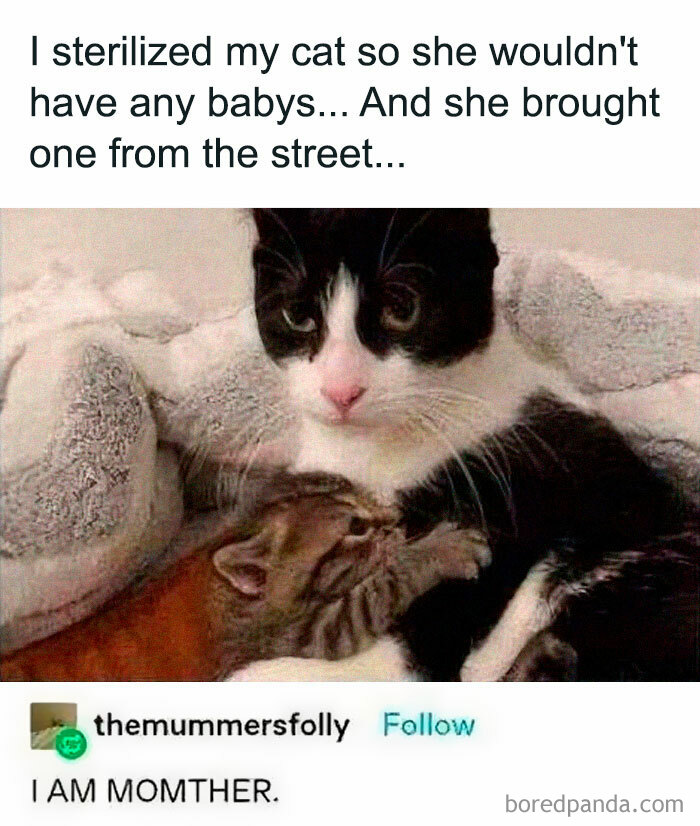 Joyful-Stories-Jokes-Buzzplusofficial