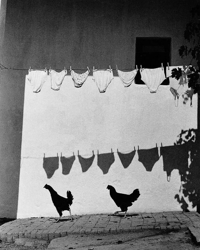 Here Are 44 Of The Most Interesting Images Selected By This Instagram Page