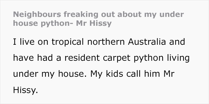 Python Lives Peacefully Under Woman’s House for Years, Neighbor Suddenly Insists on Removing It Python Lives Peacefully Under Woman’s House for Years, Neighbor Suddenly Insists on Removing It