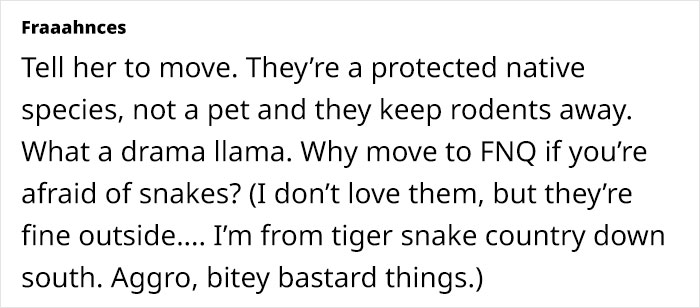 Python Lives Peacefully Under Woman’s House for Years, Neighbor Suddenly Insists on Removing It Python Lives Peacefully Under Woman’s House for Years, Neighbor Suddenly Insists on Removing It