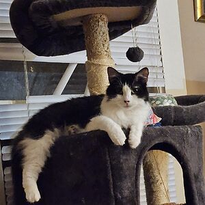 sylviahinz8427 avatar