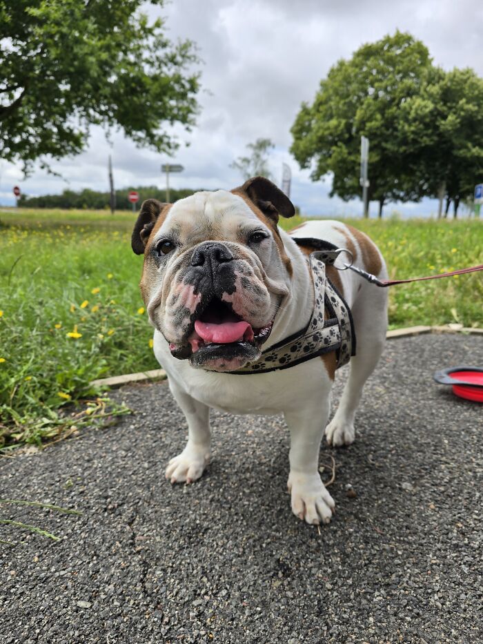 They Are All Cute Pics - So Here's One Of Them