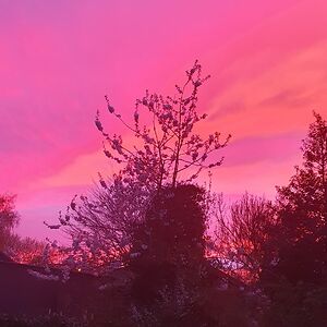 thalea-gerdes07 avatar