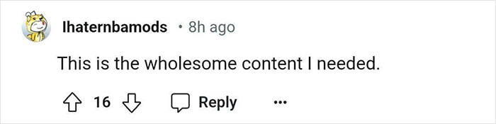 &ldquo;I Need A Photo With Simone Biles&rdquo;: 16YO Gymnast&rsquo;s &ldquo;Fangirl&rdquo; Moment At The Olympics Goes Viral