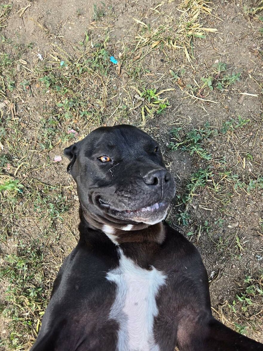 He's Taking A Selfie