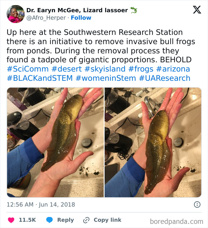 This Guy Is Not The Norm. Definitely An Outlier With Some Sort Of Hormonal Imbalance