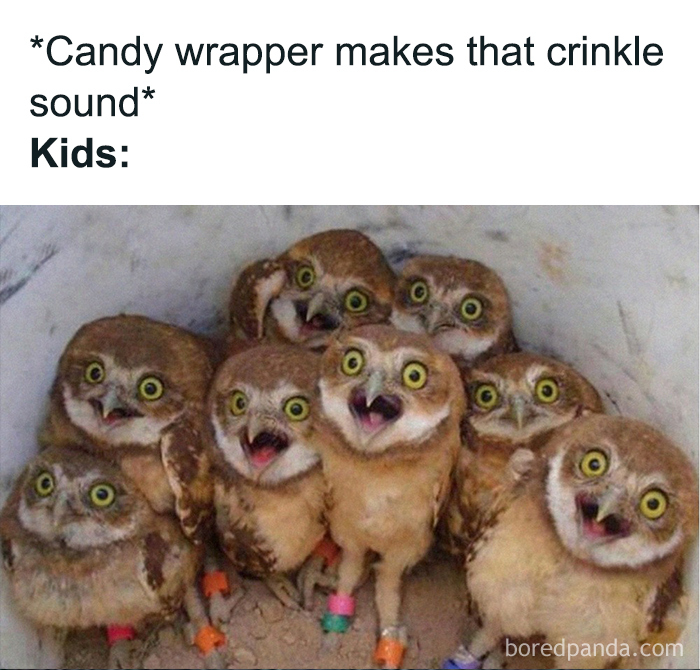 Funny-Fatherhood-Memes