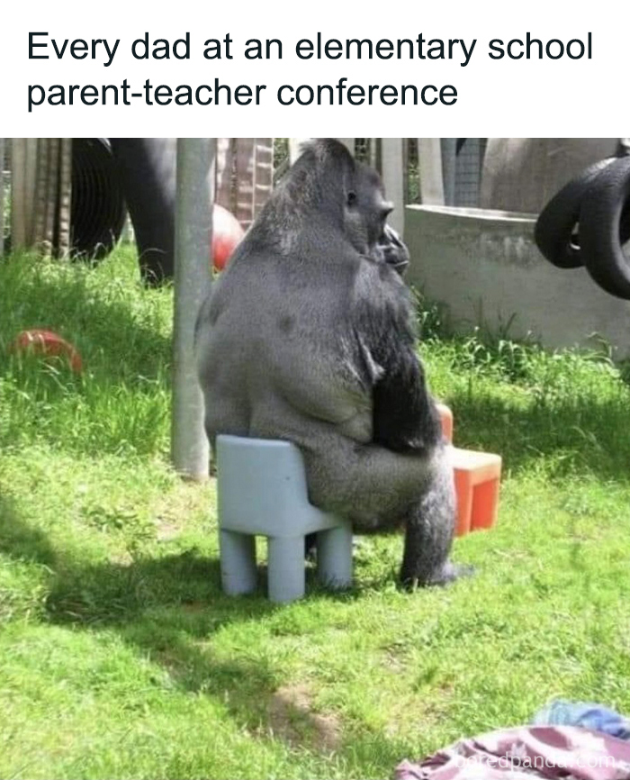 Funny-Fatherhood-Memes