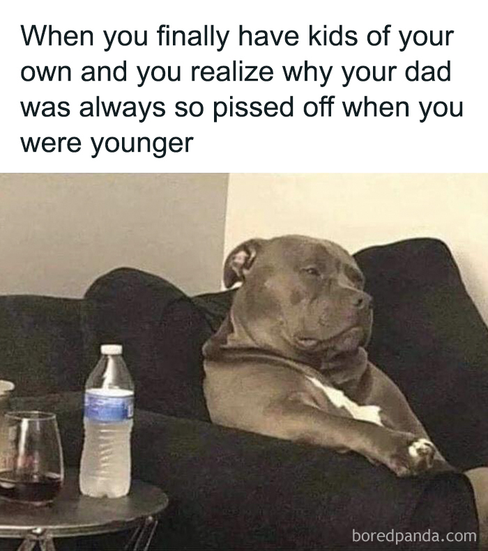 Funny-Fatherhood-Memes