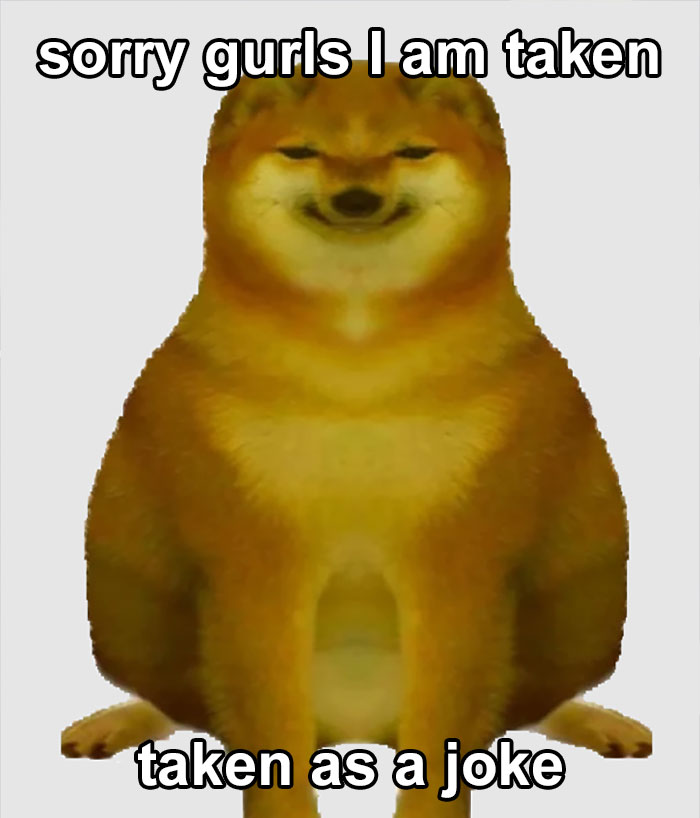 Funny-Reaction-Memes-Acting-Dumb