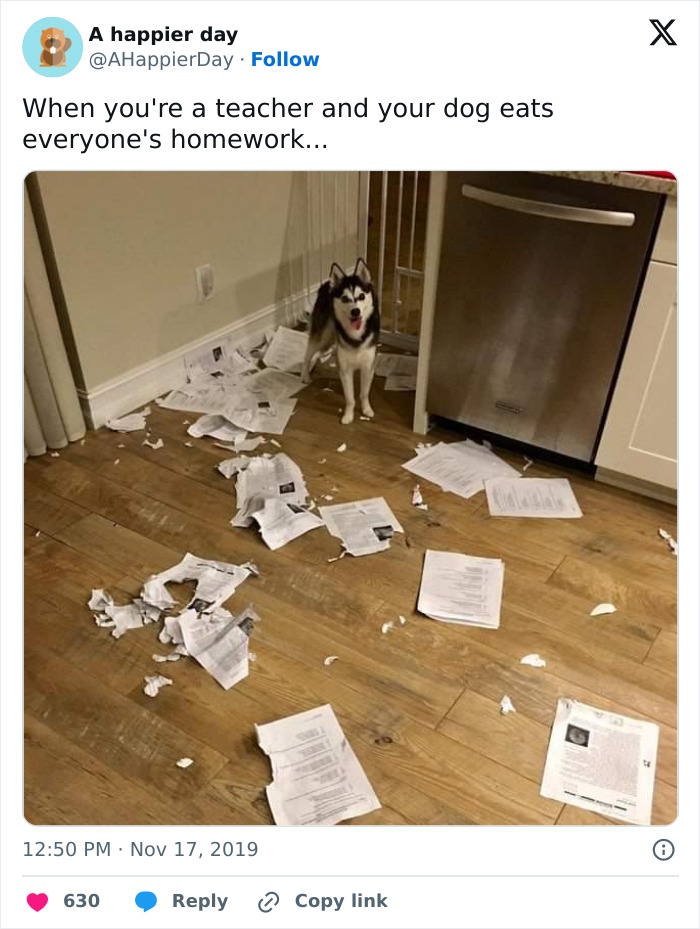 Back-To-School-Funny-Tweets