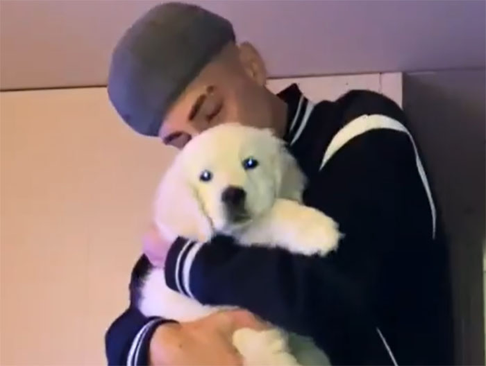 Video Of Guy Trying To Convince His Dog To Keep Walking Home Goes Viral As The Dog Refuses To Move Video Of Guy Trying To Convince His Dog To Keep Walking Home Goes Viral As The Dog Refuses To Move