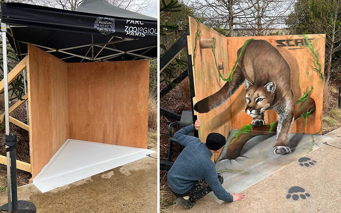 Side-by-side images showing an artist from France creating incredible 3D graffiti of a realistic mountain lion.