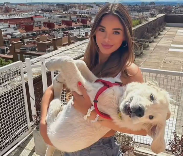 Video Of Guy Trying To Convince His Dog To Keep Walking Home Goes Viral As The Dog Refuses To Move Video Of Guy Trying To Convince His Dog To Keep Walking Home Goes Viral As The Dog Refuses To Move