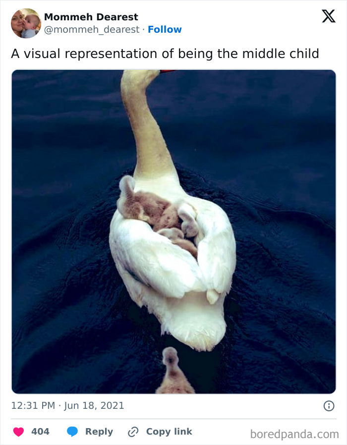 Middle-Child-Funny-Tweets