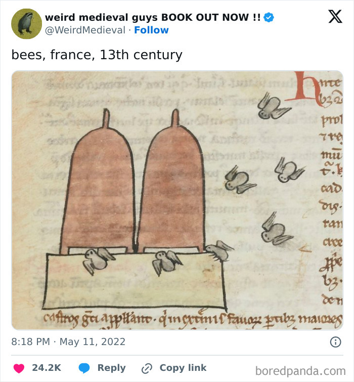 Bees Look Like Tiny Birds Or Bats