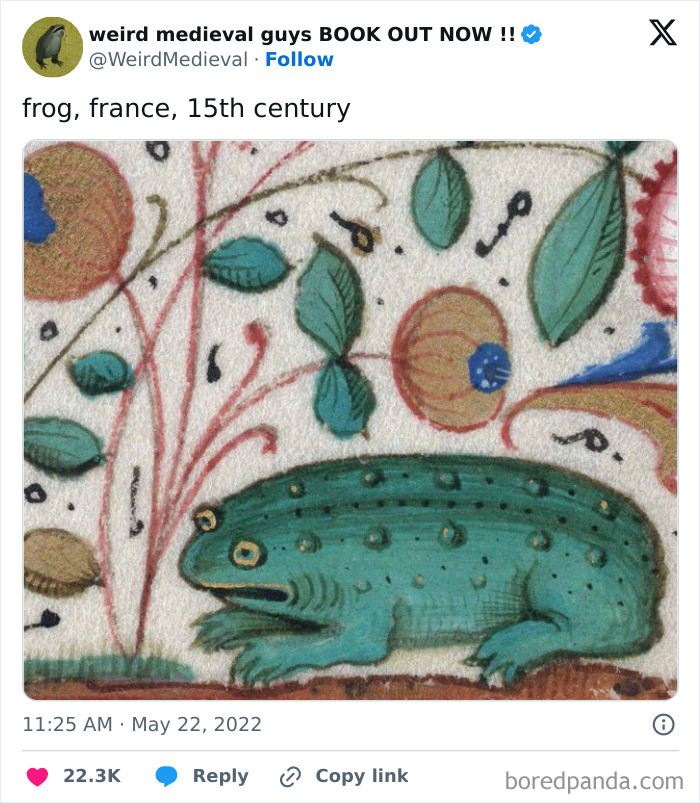That Frog Has Seen Things