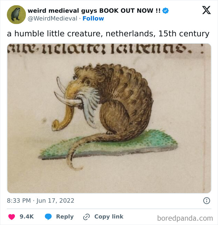 Someone Getting An Elephant Shrew Described To Them?