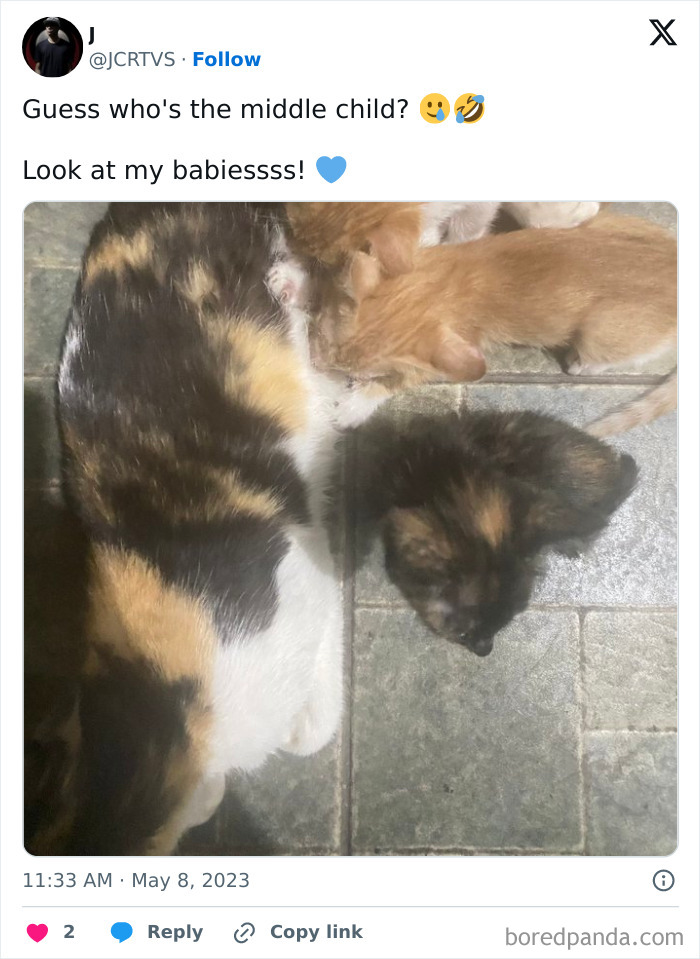 Middle-Child-Funny-Tweets