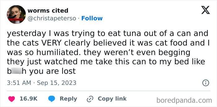 Funny-Women-Posts-On-X