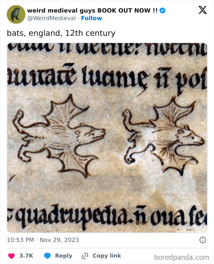 Now Those Are Some Nice Bats