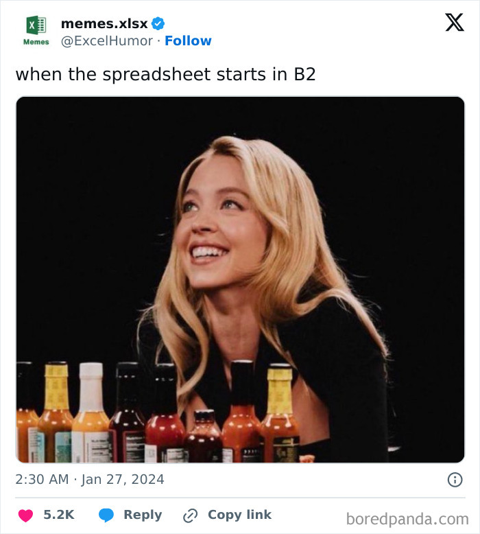 Hilarious-Excel-Memes