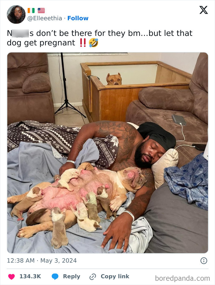 Funny-Tweets-About-Dogs