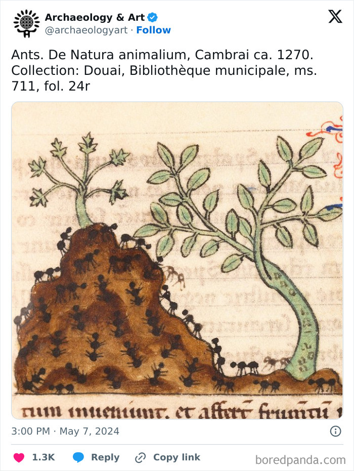 The Best Depiction Of Ants