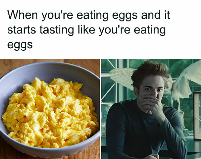 Funny-Memes-Mememanmyles